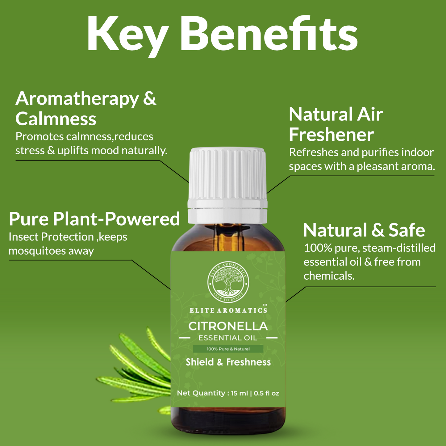 Citronella Essential Oil – Shield & Freshness | 100% Pure Natural Oil (15ml)